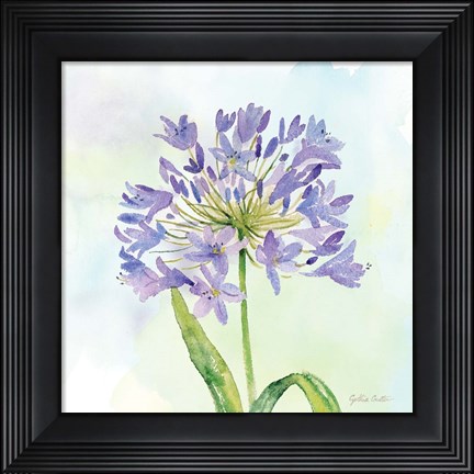 Framed Wildflower Single II Print