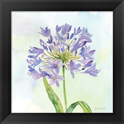 Framed Wildflower Single II Print