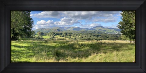 Framed Fresh Perspective Print