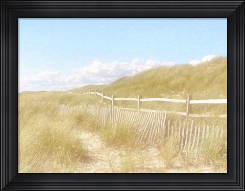 Framed Seagrass Dunes Print