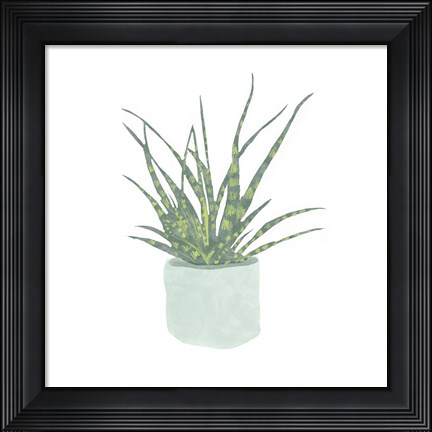 Framed Snake Plant I Print