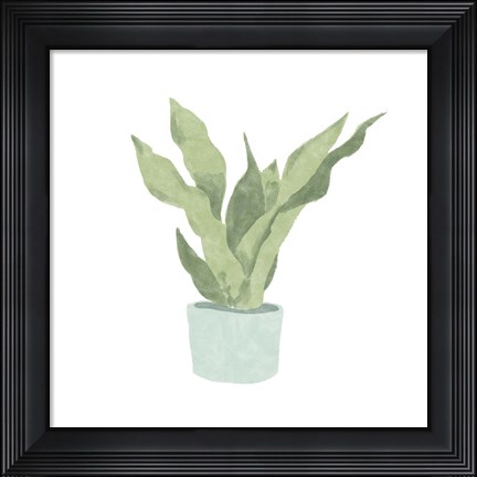 Framed Snake Plant II Print