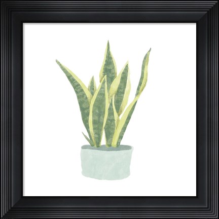 Framed Snake Plant III Print