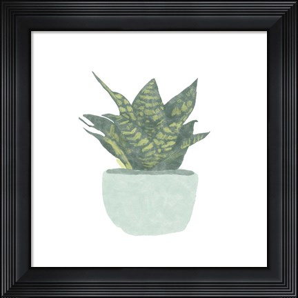 Framed Snake Plant IV Print