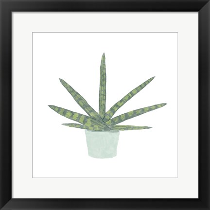 Framed Snake Plant V Print