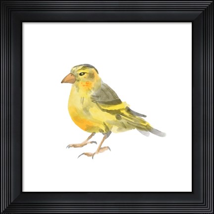 Framed Songbird I Print
