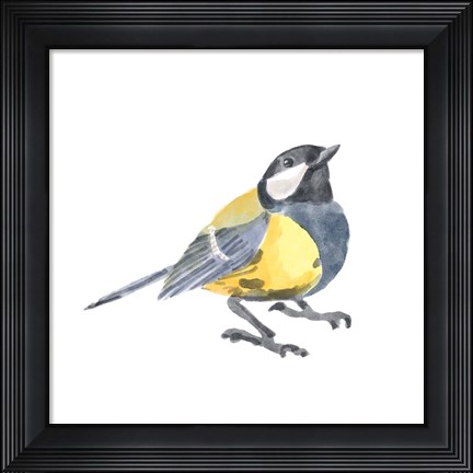 Framed Songbird III Print