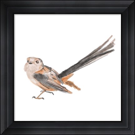 Framed Songbird IV Print