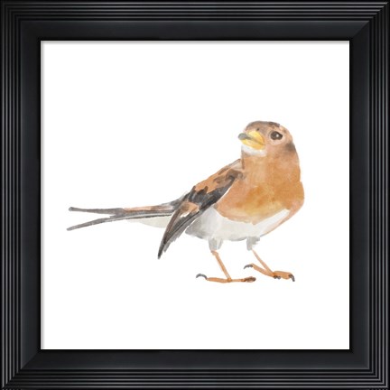 Framed Songbird V Print