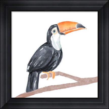 Framed Tropical Toucan I Print