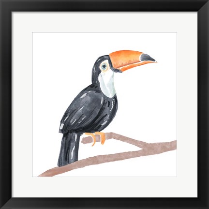 Framed Tropical Toucan I Print