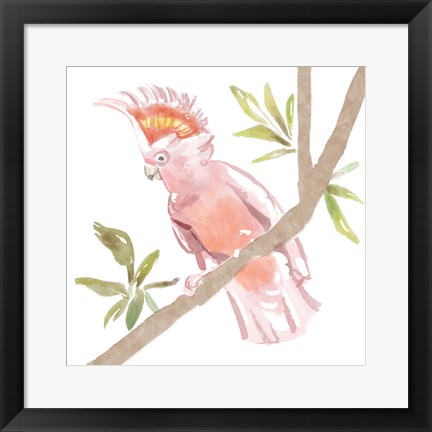 Framed Tropical Cockatoo Print