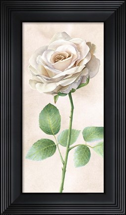 Framed Ivory Roses Panel I Print