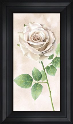 Framed Ivory Roses Panel II Print