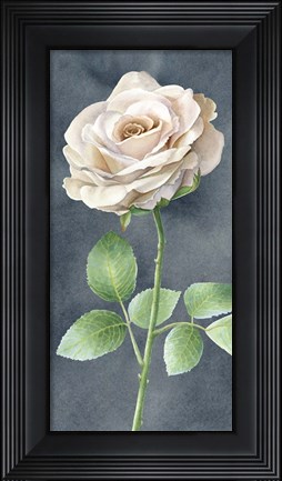 Framed Ivory Roses on Gray Panel I Print