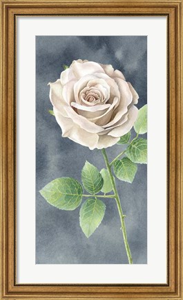 Framed Ivory Roses on Gray Panel II Print