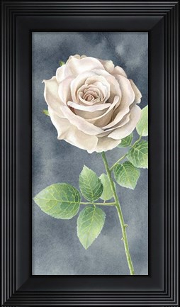 Framed Ivory Roses on Gray Panel II Print
