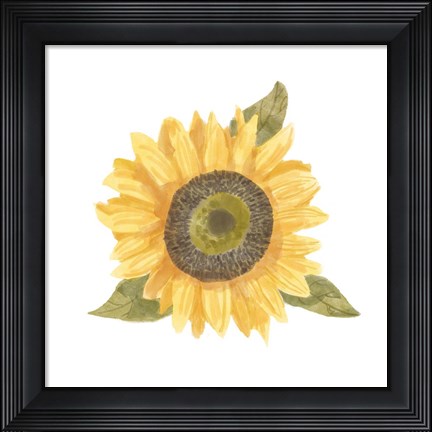 Framed Single Sunflower I Print
