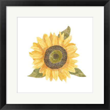 Framed Single Sunflower I Print