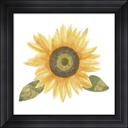 Framed Single Sunflower II Print