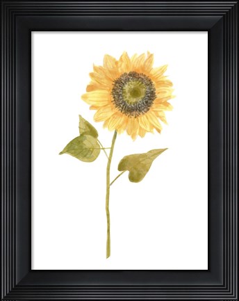 Framed Single Sunflower Portrait I Print