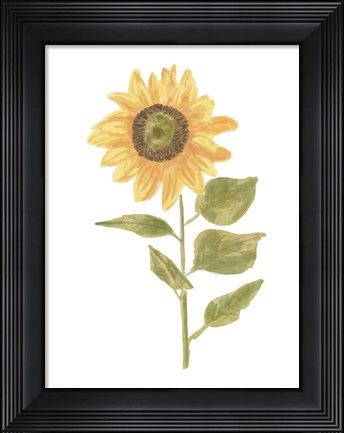 Framed Single Sunflower Portrait II Print