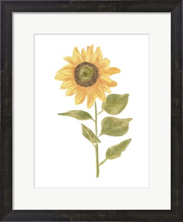 Framed Single Sunflower Portrait II Print