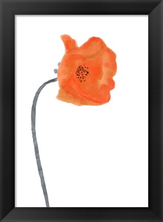 Framed Solo Poppy Red I Print