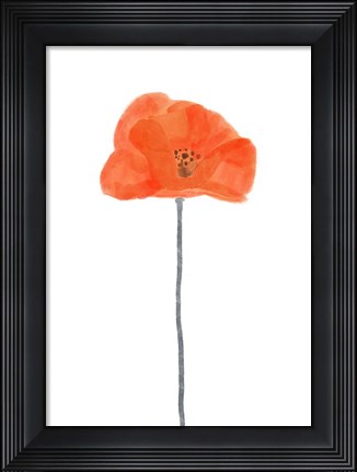 Framed Solo Poppy Red II Print