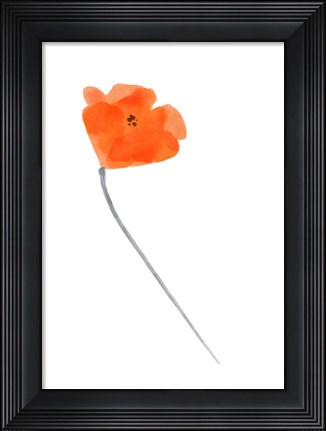 Framed Solo Poppy Red IV Print