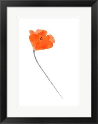 Framed Solo Poppy Red IV Print