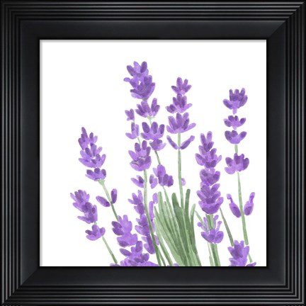 Framed Wildflower Group II Print