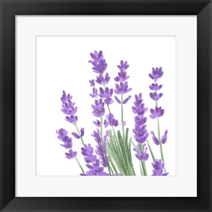 Framed Wildflower Group II Print