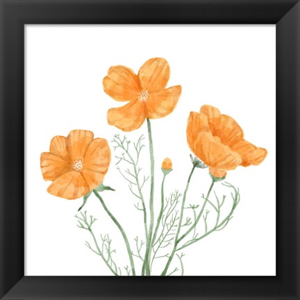 Framed Wildflower Group III Print