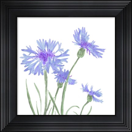 Framed Wildflower Group IV Print