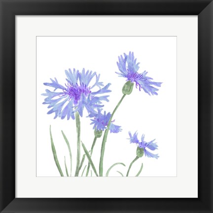 Framed Wildflower Group IV Print