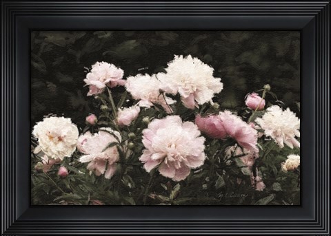 Framed Peony Poetry II Print