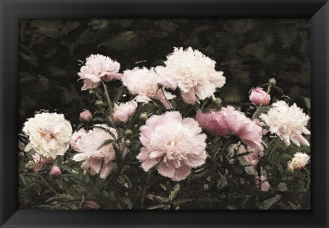 Framed Peony Poetry II Print