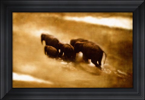 Framed Crossing Print