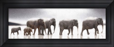 Framed Elephant Mirage Print