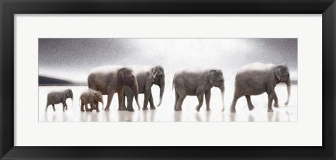 Framed Elephant Mirage Print