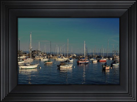 Framed At Rest Print