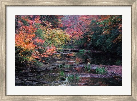Framed Fall Creek Print