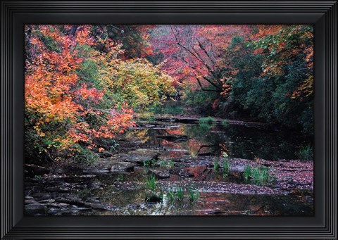 Framed Fall Creek Print