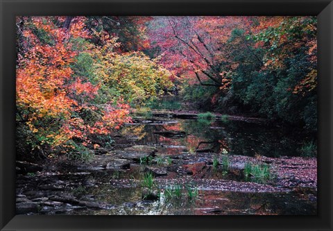 Framed Fall Creek Print