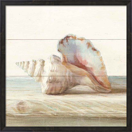 Framed Driftwood Shell IV Print