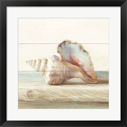 Framed Driftwood Shell IV Print