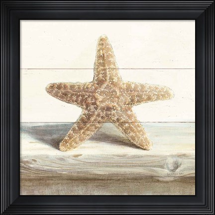 Framed Driftwood Shell III Print