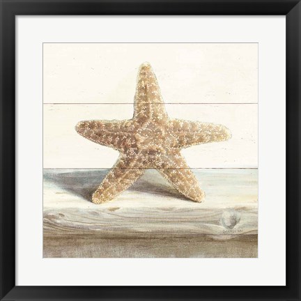 Framed Driftwood Shell III Print