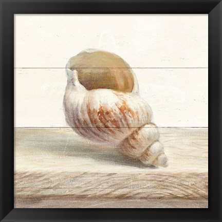 Framed Driftwood Shell I Print